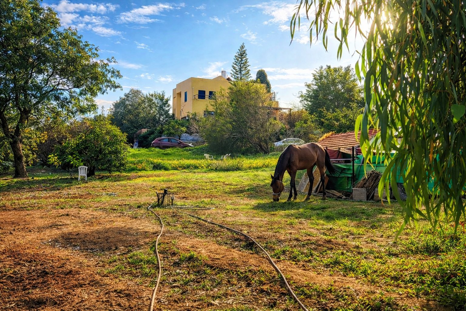 מהסמארטפון שלי